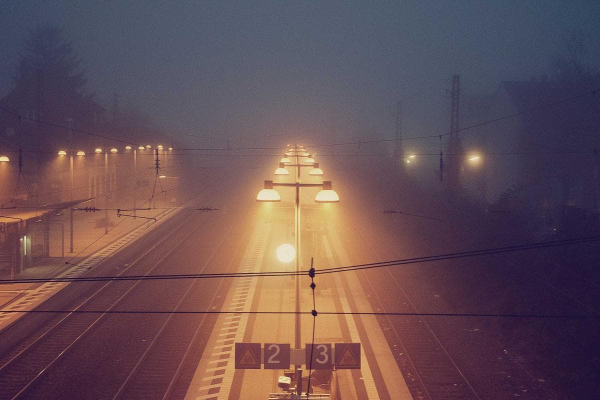 Динамо Корт — 4